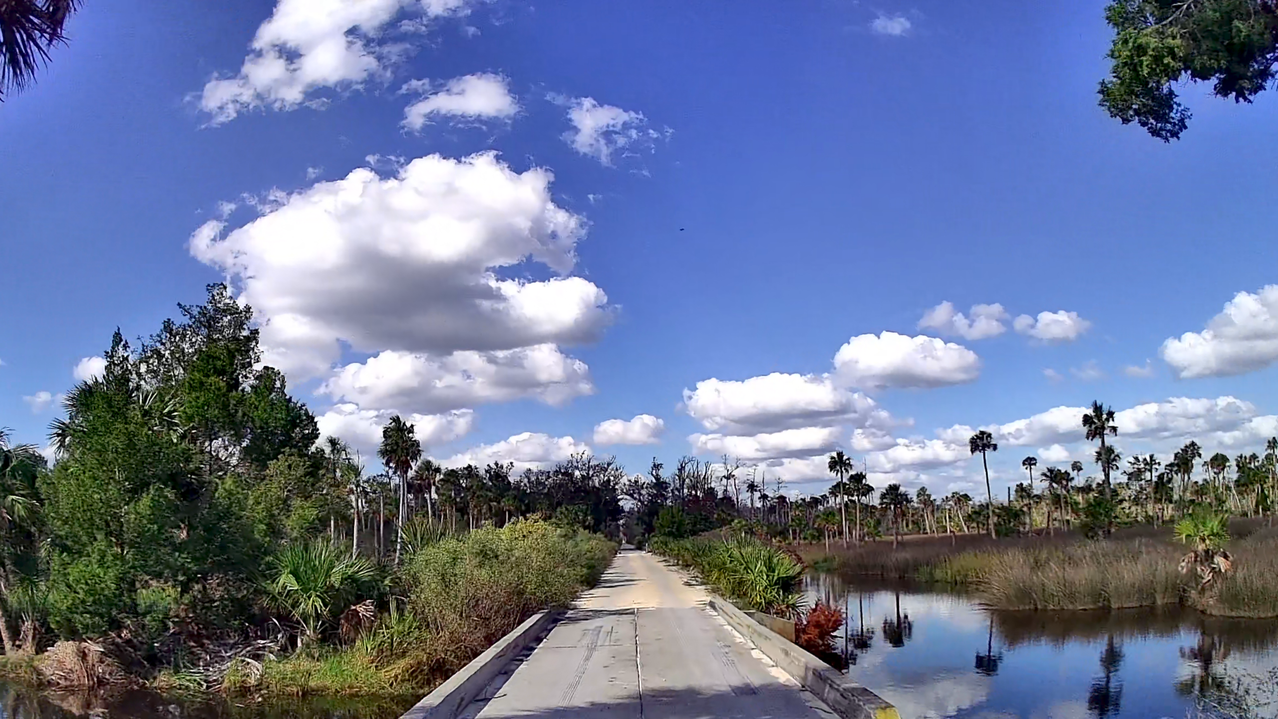 Florida Big Bend II