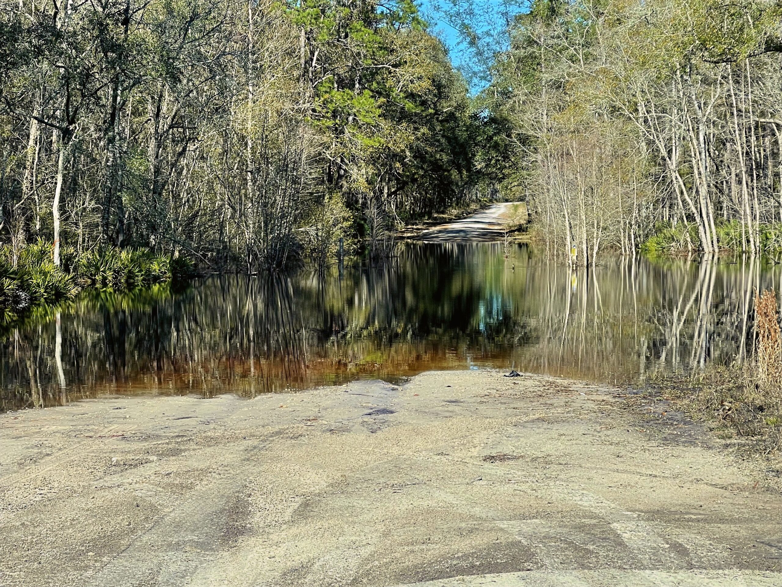 Osceola National Forest